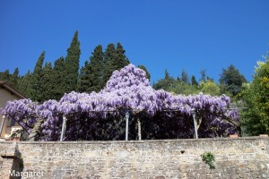 IMG_4631