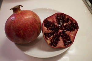 IMG_6596